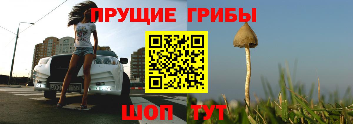 Псилоцибиновые грибы ЛСД  Вход с VPN  Горячий Ключ 